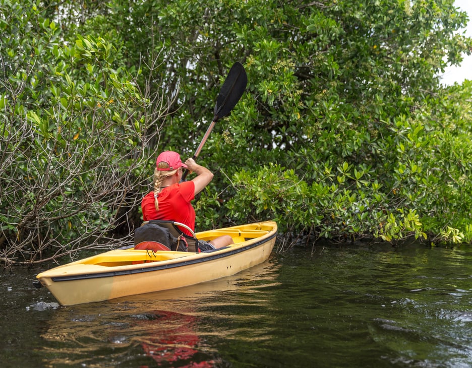 Young Woman Kayaking in Everglades National Park