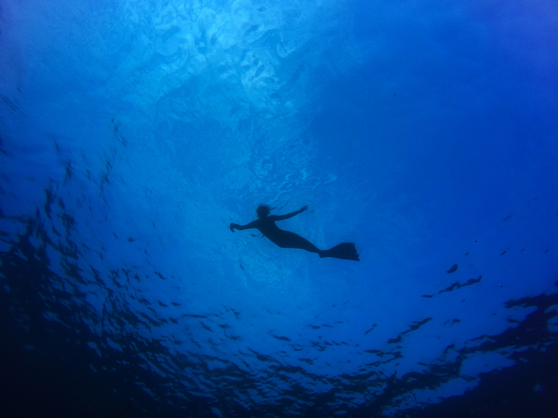 Diver in Water